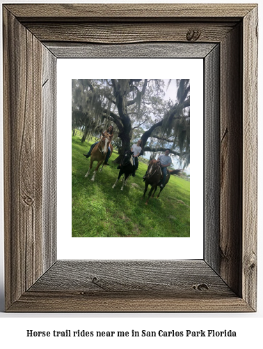 horse trail rides near me in San Carlos Park, Florida